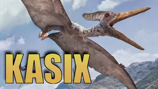 Kasix pterodaktyl