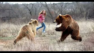 When Bears Go On A Rampage! Interesting Animal Moments CAUGHT ON CAMERA