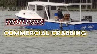 COMMERCIAL CRABBING  Trotline #maryland