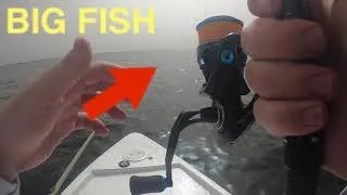 Fishing St. Marks For Trout And Redfish (Hooked Something BIG)