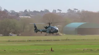 Gazelle Helicopter Isle of Wight