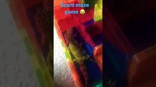 Neon Lizard Maze #subscribe #neon #lizard #cute #FunnyLoL