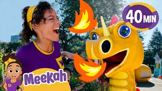 Meekah Visits the Children's Fairyland! | Educational Videos for Kids | Blippi and Meekah Kids TV