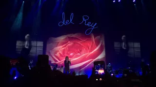 Lana Del Rey - Video Games (Lust For Life Tour, Liverpool 22/08/2017)