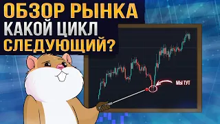 Обзор рынка и монет. Как устроена цикличность рынка?