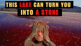 This lake can turn you into a stone | deadly lake that turns animals to stone | Lake Natron Tanzania