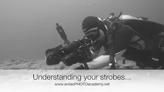 3 days Underwater Photography Course with Tim at anilao PHOTO academy...