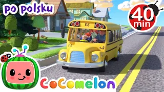 Koła autobusu | CoComelon po polsku | Piosenki dla dzieci