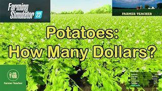 Farming Simulator 22 Potatoes   How Much Money