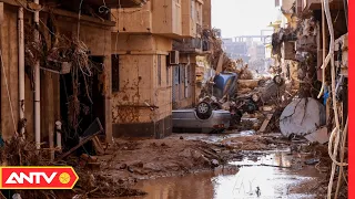 Liên hợp quốc kêu gọi viện trợ khẩn cấp cho Libya sau thảm họa lũ lụt chưa từng có | ANTV