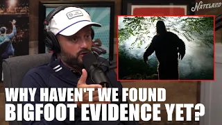 Why Haven't We Found Bigfoot Evidence? | Nateland Podcast