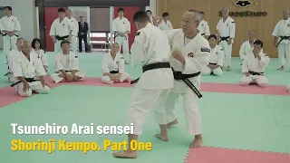 Teaching Japanese Shorinji Kempo by the Chief Instructor.