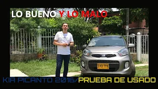 Kia Picanto (el mejor carro USADO)