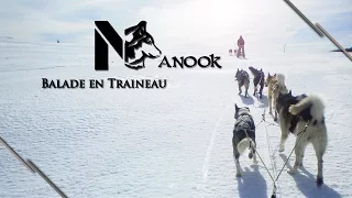 Nanook - Balade en Traineau