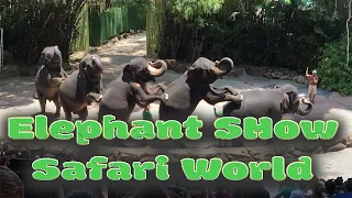 Elephant Show at Safari World | Bangkok | Thailand | 4K