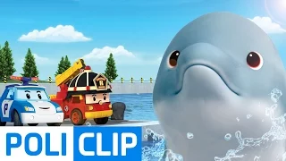 My friend the dolphin, mingming | Robocar Poli Clips