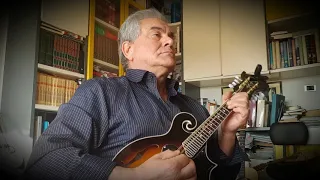 Pino Salerno mandolino - Tarantella Siciliana