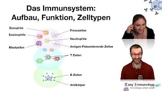 Easy Immunology Spezial: Das Immunsystem: Aufbau, Funktion, Zelltypen