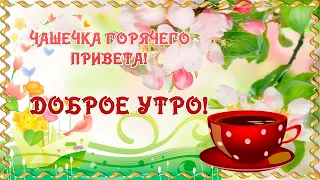 Доброе утро! Хорошего дня! Чашка горячего привета! Доброе утро открытка