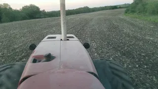 IH 3588 Planting Organic Soybeans with Case IH 955 16 row '21