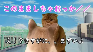 授業中寝てたらたくさん夢○した【コント】　#猫マニ #猫ミーム #猫ニチ