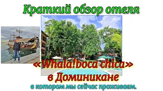 Краткий обзор отеля «Whala!boca chica» в Доминикане, в котором мы сейчас проживаем.