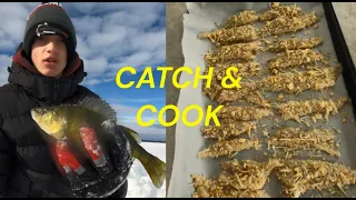 Catch & Cook While Ice Fishing on Lake Couchiching