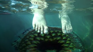 If You Are Afraid of Ocean - Don't Watch This Video Alone