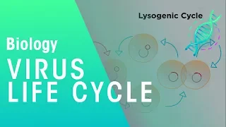 Virus Life Cycle | Health | Biology | FuseSchool