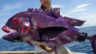 10 Most Bizarre Fish Found In The Ocean