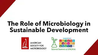 The Role of Microbiology in Sustainable Development - Science Summit at UNGA76