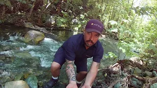 CATCHING WILD RAINBOW TROUT / FLYFISHING East Branch