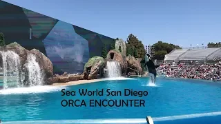 SeaWorld San Diego Orca Encounter Experience (HD) Full Show