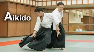 Aikido - Softness and Instantaneous force SHIRAKAWA RYUJI shihan