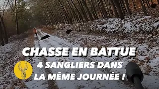 CHASSE EN BATTUE : Des Sangliers En Pagaille - Tir De 4 Sangliers Dans La Même Journée | CHASSE 2024