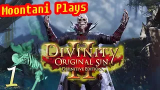 Boat Escape - Divinity Original Sin 2 - SESSION 1