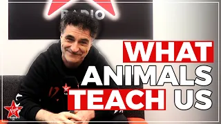 Supervet Noel Fitzpatrick: 3 Things Our Pets Teach Us 🐶😸