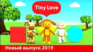 Tiny Love Развивающий мультфильм для детей от 6 месяцев - 2 года (Tiny Love developing cartoon)