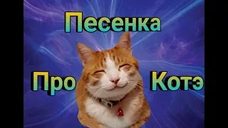 Песенка про котэ. Ты мой миленький хорошенький мой котик.