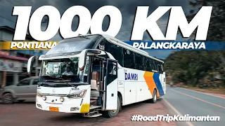 MENEMBUS HUTAN TRANS KALIMANTAN | Pontianak - Palangkaraya Naik Bus Damri #10