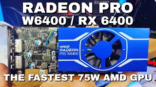 Radeon Pro W6400 / RX 6400 Gaming Review