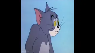 Том и Джерри😼🐭