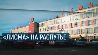 Лисма на распутье / В центре внимания – 09 (9 ноября 2019 года)