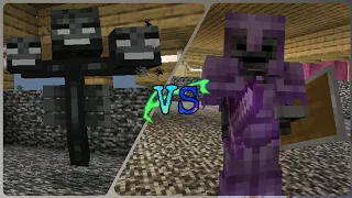 Netherite Wither Skeleton Vs Wither