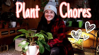 PLANT CHORES | Plant maintenance & big chop! ￼