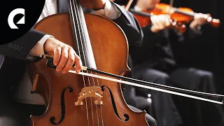 The Best Beautiful Classical Waltz Compositions (20 Minutes)