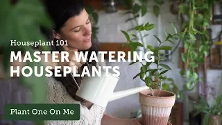 Houseplant 101: How to Water Houseplants Properly — Ep 120