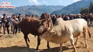 ÉSTAS SON LAS DAMAS DEL RECORTE! | CASTELLÓN - MAGDALENA