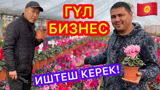 ГҮЛ БИЗНЕС да ПРИБЫЛЬНЫЙ болот экен  ~  Бул Өзбекстан эмес, Турция эмес, бул - КЫРГЫЗСТАНДА