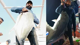 GT Giant Trevally & Massive Groupers Fishing in  Karachi Offshore | Karachi Karamat Fishing 2024